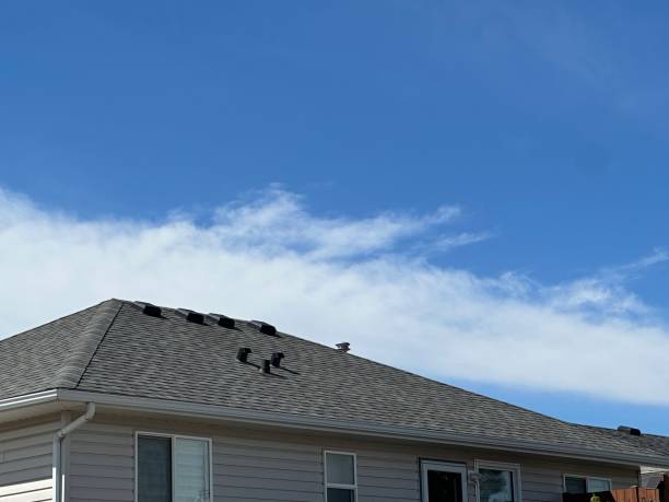 Best Emergency Roof Repair Services  in La Feria, TX